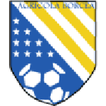 Official logo of Ag. Borcea football club