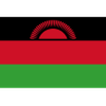 Official logo of Malawi football club