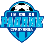 Official logo of Radnik football club