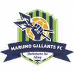 Official logo of Marumo Gallants football club