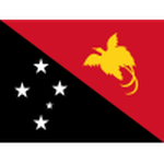 Official logo of Papua New Guinea football club