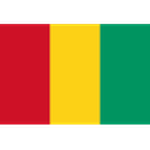 Official logo of Guinea football club