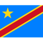 Official logo of D.R. Congo football club