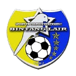 Official logo of Bintang Lair football club