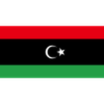 Official logo of Libya football club