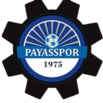 Official logo of Payasspor football club