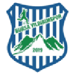Logo Bursa Yildirimspor