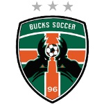 Official logo of Flint City football club