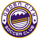 Official logo of Salt City football club
