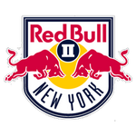 Official logo of New York RB III football club