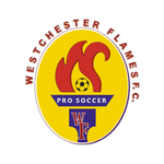 Official logo of Flames football club