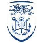 Official logo of Swansea University football club