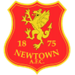 Official logo of Newtown football club
