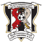 Official logo of Cefn Druids football club