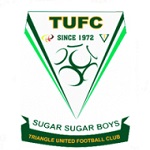 Official logo of Triangle football club