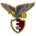Official logo of Fano football club