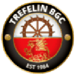 Official logo of Trefelin football club