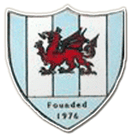 Official logo of Mynydd Isa football club