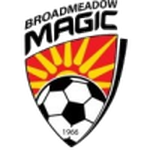 Official logo of Broadmeadow football club