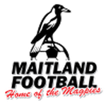 Official logo of Maitland football club
