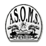 Official logo of Paradise football club