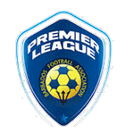 Official logo of Notre Dame football club