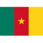 Official logo of Cameroon U17 football club