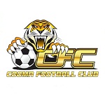 Official logo of Tigers football club