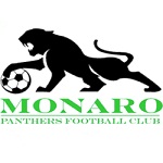 Official logo of Monaro football club