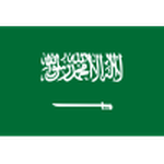 Official logo of Saudi Arabia U20 football club