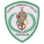 Official logo of FAP football club