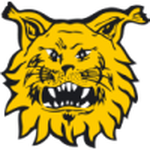 Official logo of Ilves football club