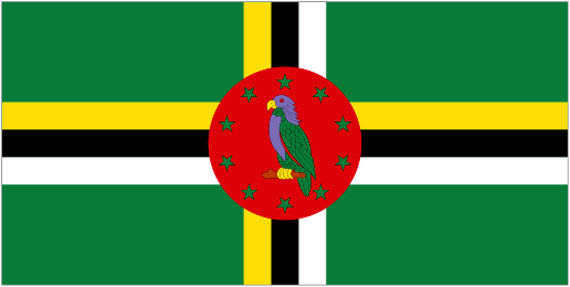 Official logo of Dominica U23 football club