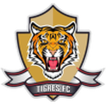 Official logo of Tigres football club