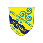 Official logo of ES de la Molignée football club