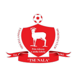 Official logo of Miscellaneous football club